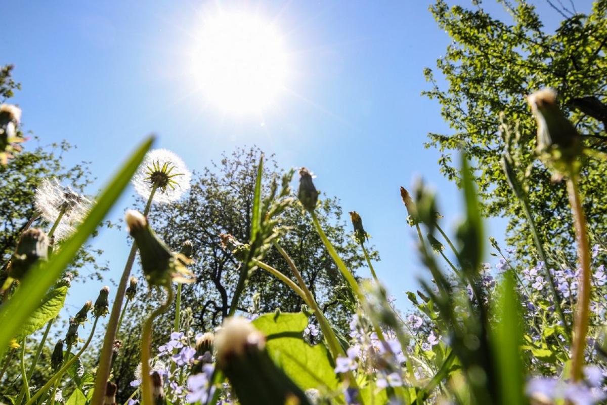 Луганщину накроет экстремальная жара: отдышаться не выйдет даже ночью Луганщину накроет экстремальная жара: отдышаться не выйдет даже ночью