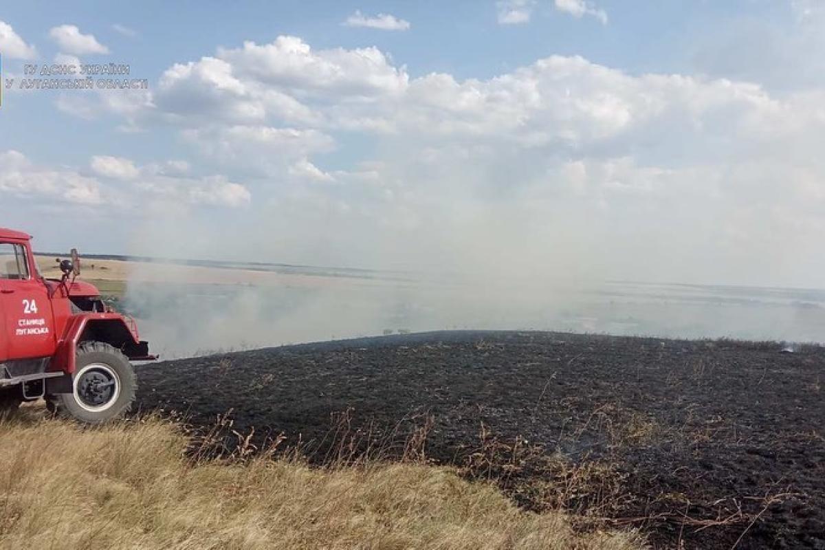 На Луганщині сталася масштабна пожежа на відкритій місцевості На Луганщині сталася масштабна пожежа на відкритій місцевості