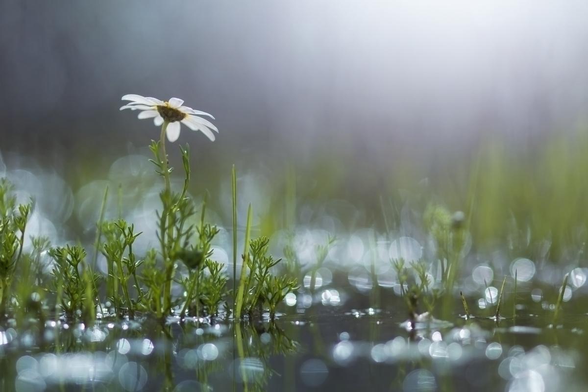 Погода на Луганщине резко изменится Погода на Луганщине резко изменится