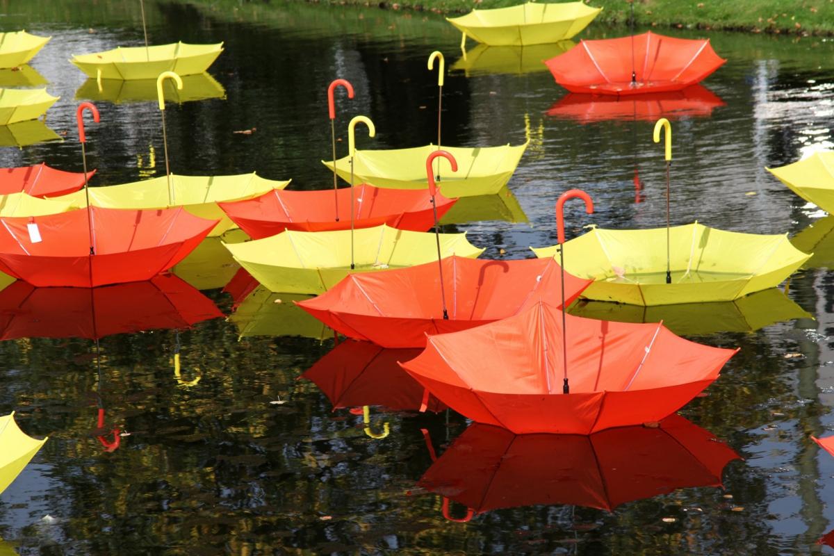 Завтра в Луганській області очікуються дощ та гроза