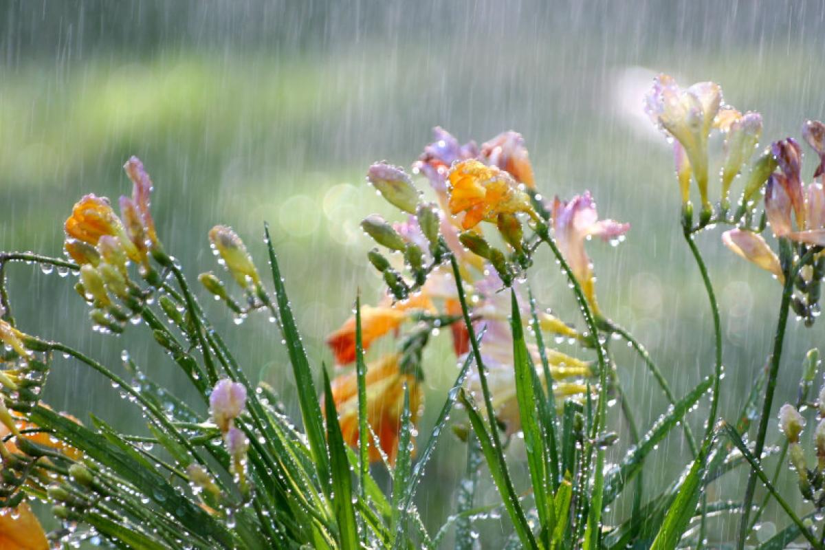 Синоптики повідомили, коли на Луганщину прийде похолодання Синоптики повідомили, коли на Луганщину прийде похолодання