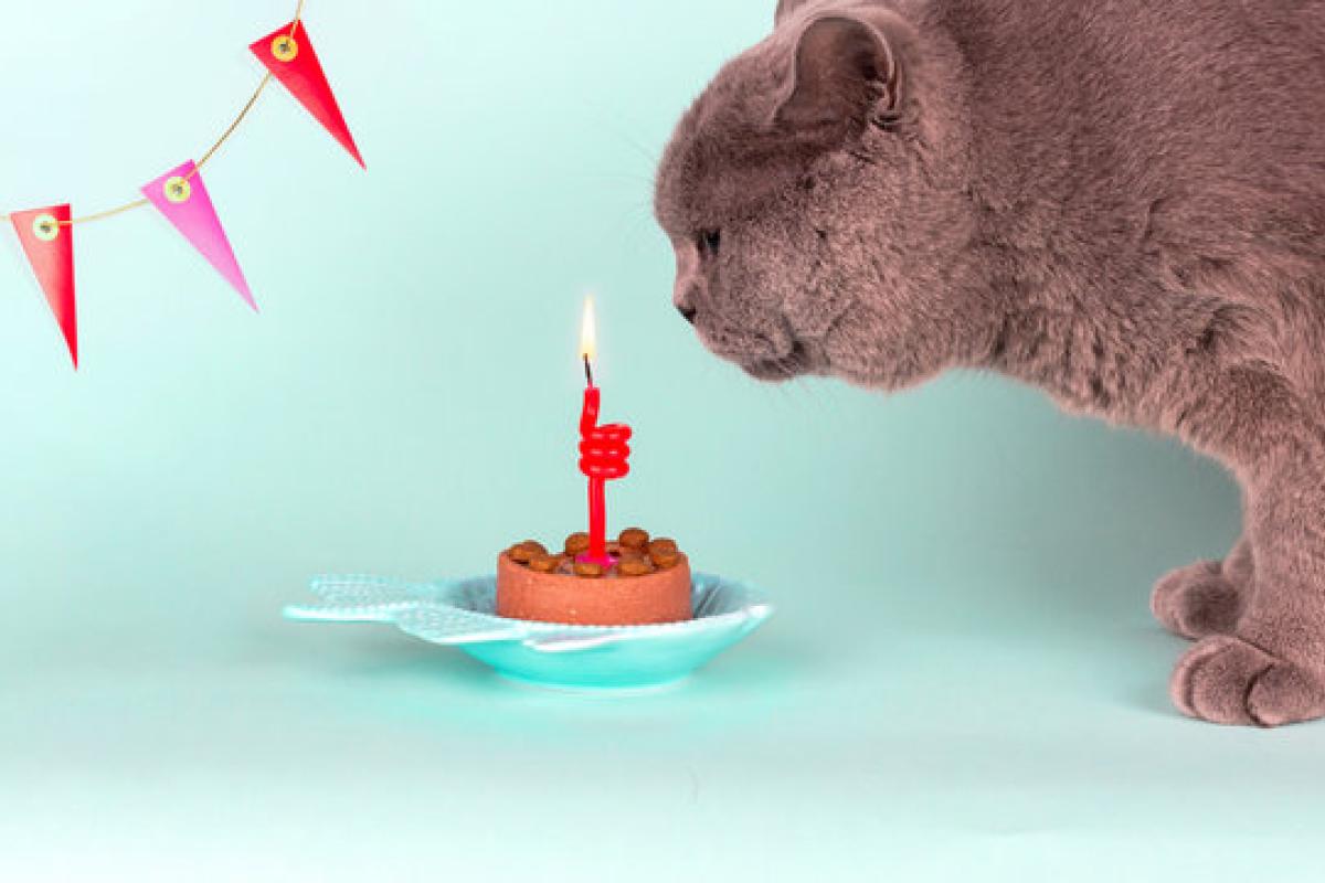 Названы 5 возрастов, когда нельзя праздновать День рождения Названы 5 возрастов, когда нельзя праздновать День рождения