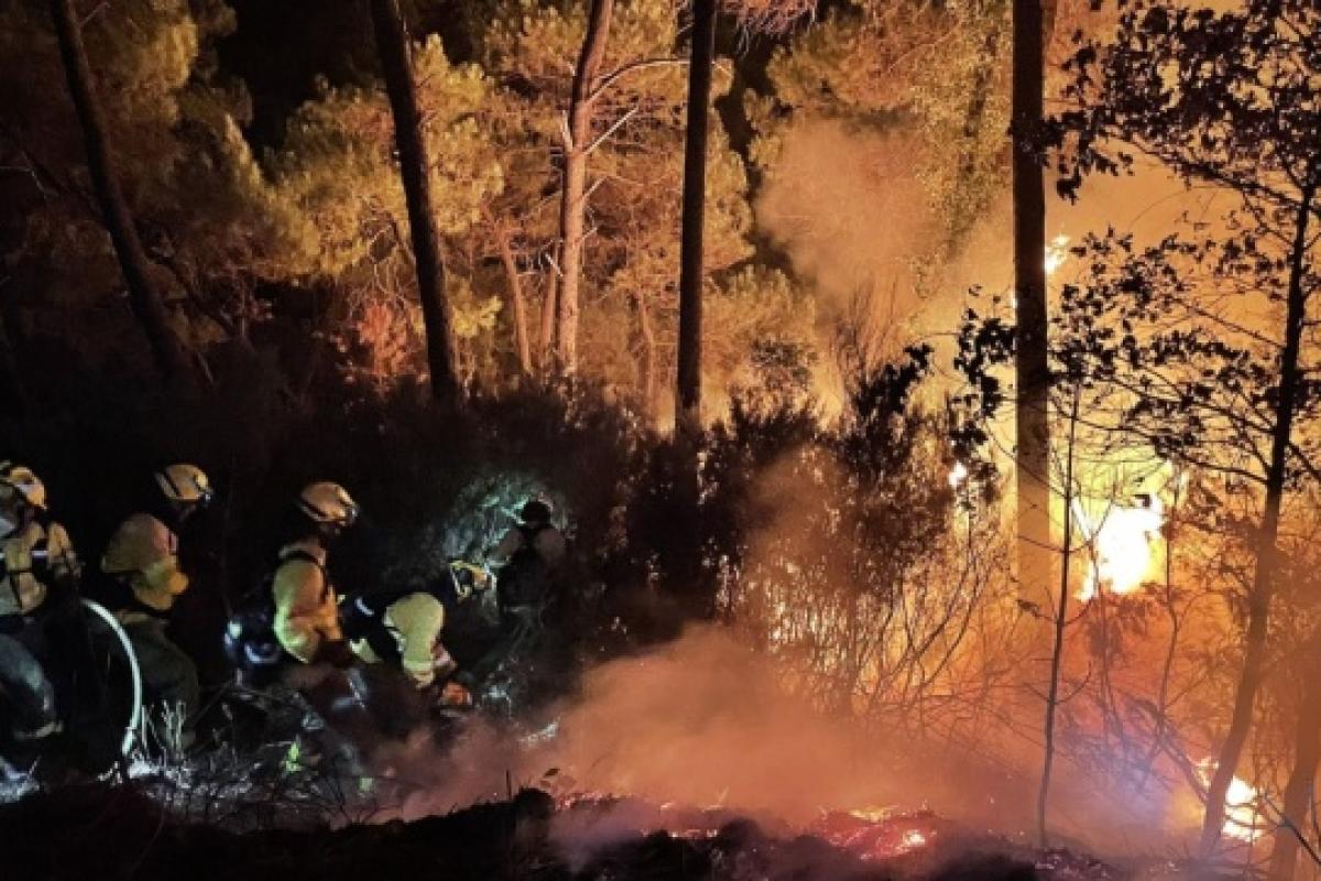 Південь Іспанії охопила масштабна лісова пожежа: евакуйовано понад 400 осіб Південь Іспанії охопила масштабна лісова пожежа: евакуйовано понад 400 осіб