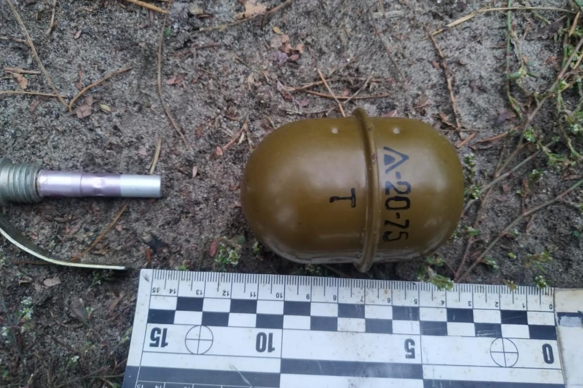 На Луганщине пенсионер гулял по улицам с гранатой и угрожал себя подорвать На Луганщине пенсионер гулял по улицам с гранатой и угрожал себя подорвать