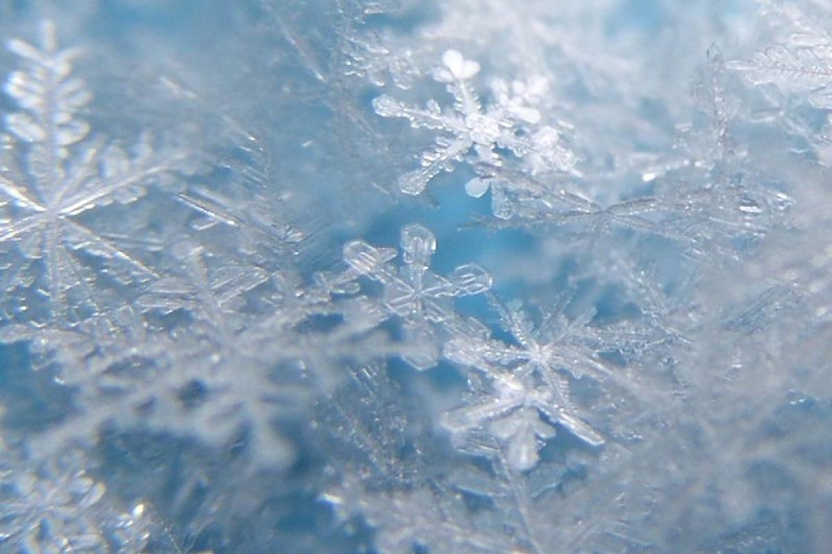 В Финляндии выпал первый в этом году снег В Финляндии выпал первый в этом году снег