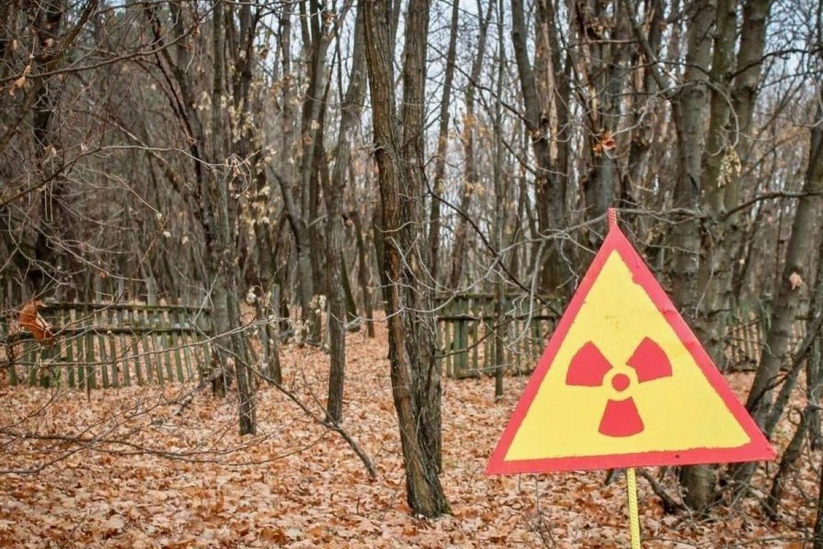 В Чернобыльской зоне обнаружили странную аномалию (фото) В Чернобыльской зоне обнаружили странную аномалию (фото)