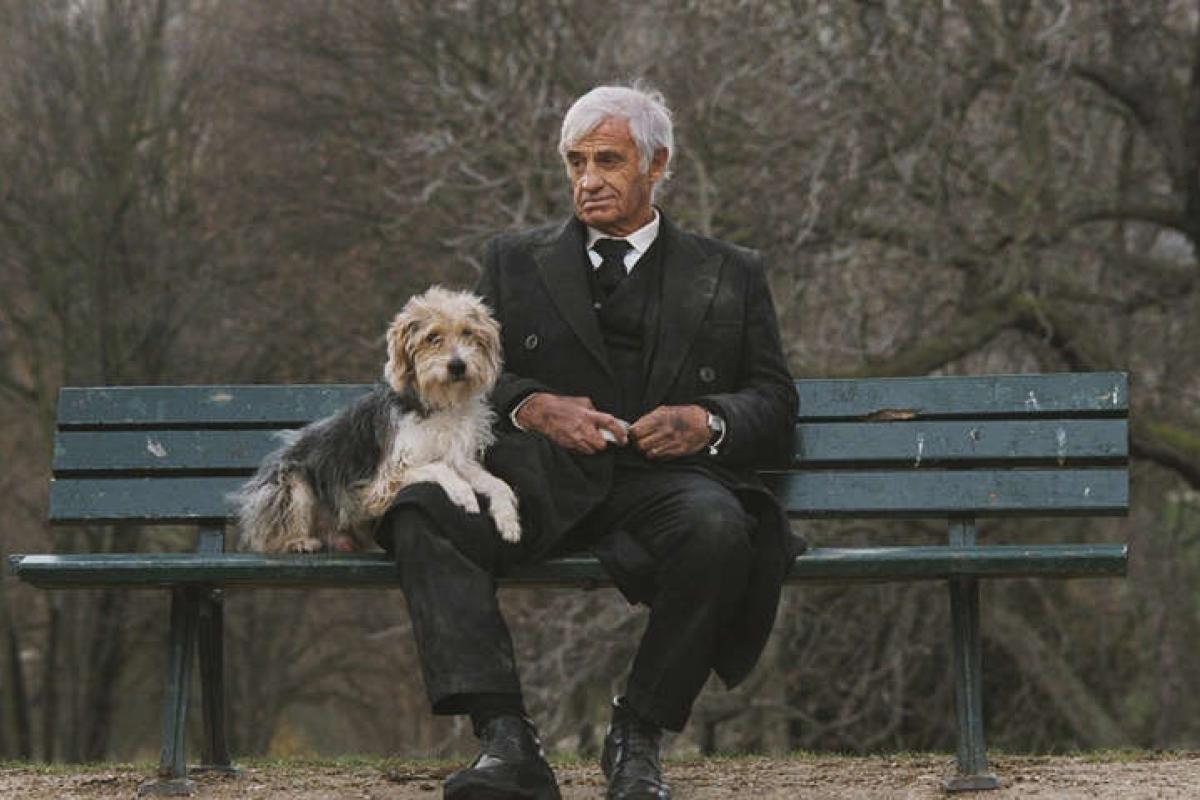 Ушел из жизни французский актер Жан-Поль Бельмондо Ушел из жизни французский актер Жан-Поль Бельмондо