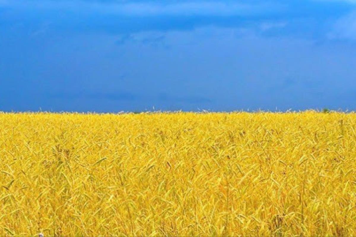 Українці відзначатимуть ще одне нове свято Українці відзначатимуть ще одне нове свято