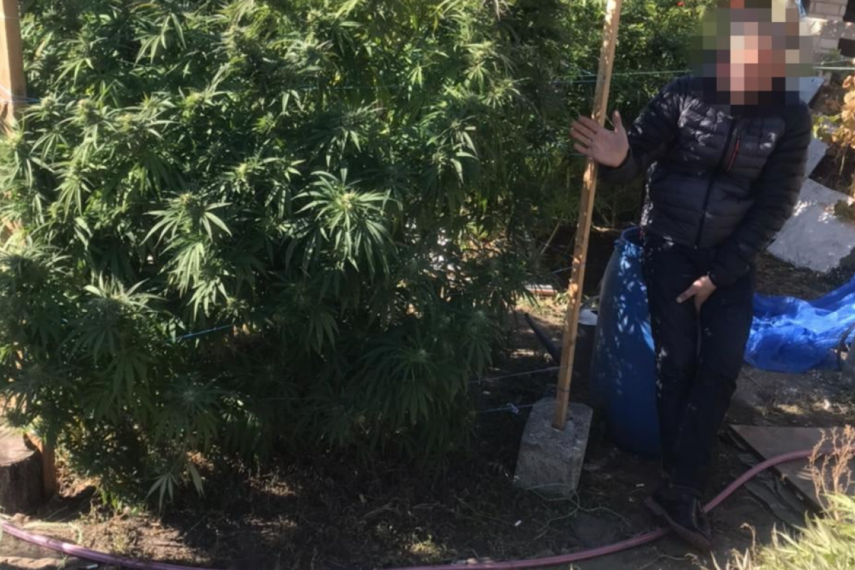 В Рубежном разоблачили "заботливого" наркоагрария В Рубежном разоблачили "заботливого" наркоагрария