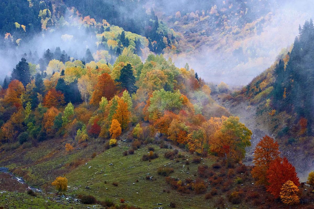 В українських Карпатах стався землетрус