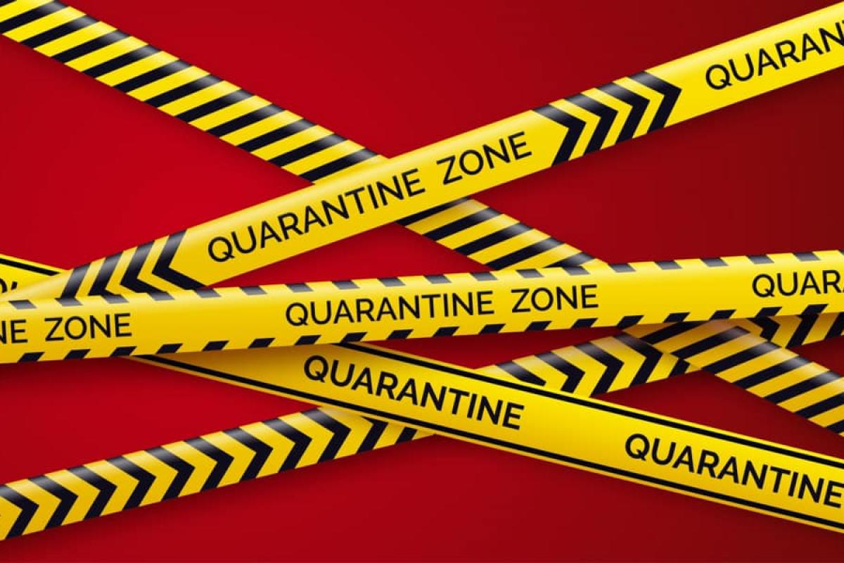 "Красная" зона: на Луганщине действует 37 рейдовых групп, которые следят за соблюдением карантина "Красная" зона: на Луганщине действует 37 рейдовых групп, которые следят за соблюдением карантина