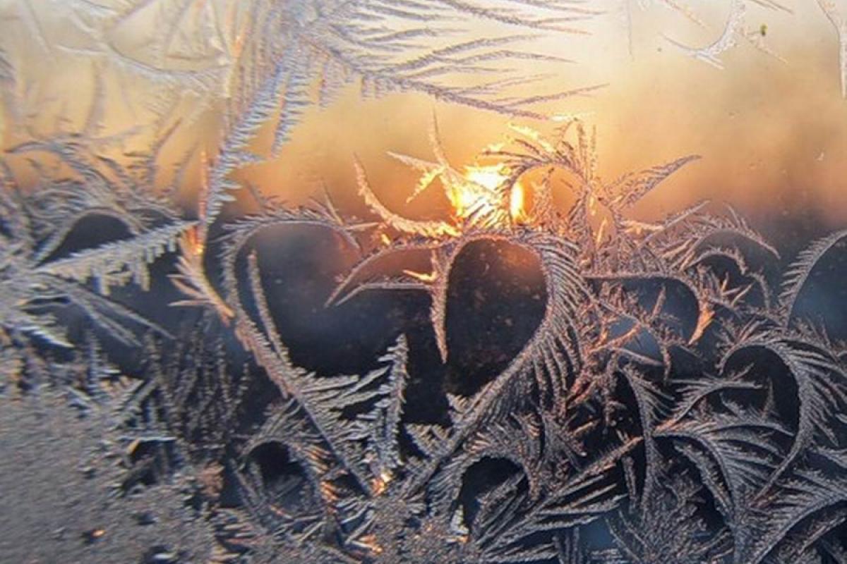 До -8 градусов: на Луганщине ударят сильные морозы До -8 градусов: на Луганщине ударят сильные морозы