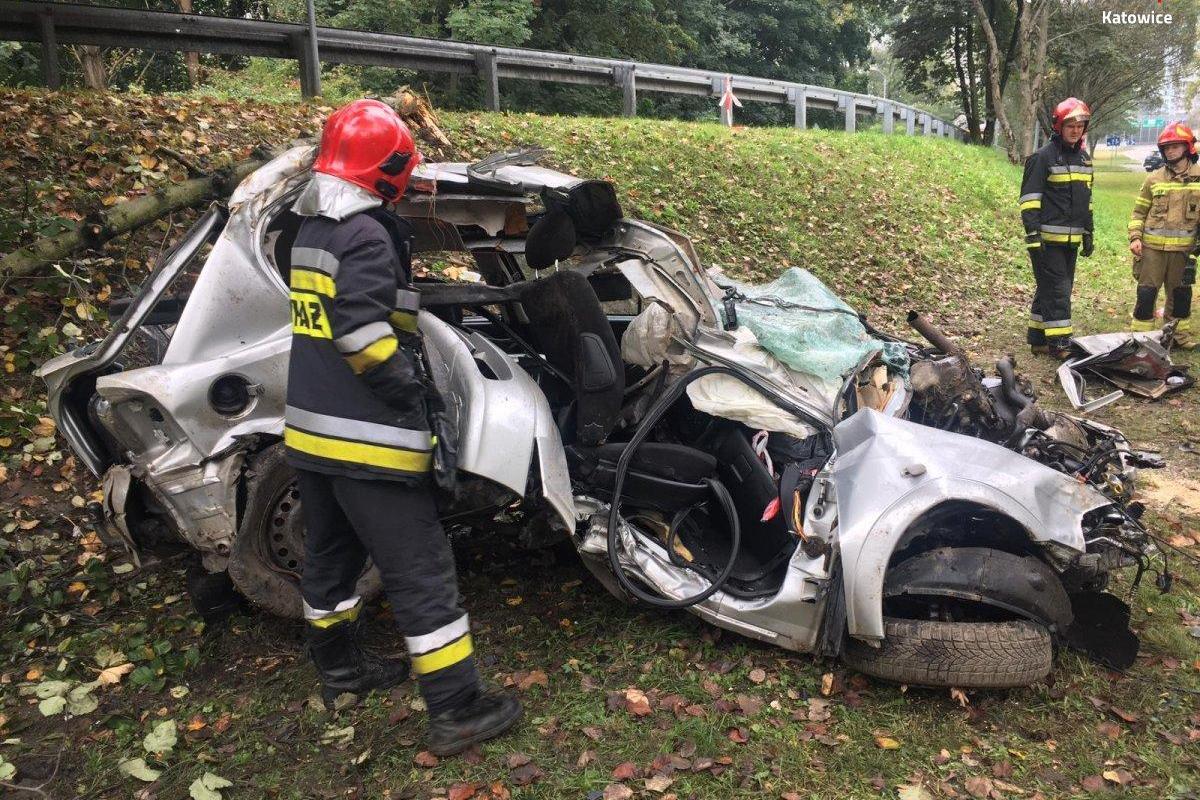В Польше авто с украинцами влетело в дерево: погибли два человека В Польше авто с украинцами влетело в дерево: погибли два человека