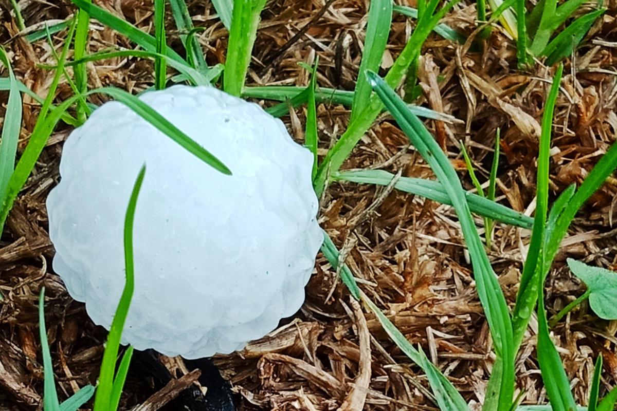 В Австралії випав гігантський град діаметром 16 см В Австралії випав гігантський град діаметром 16 см