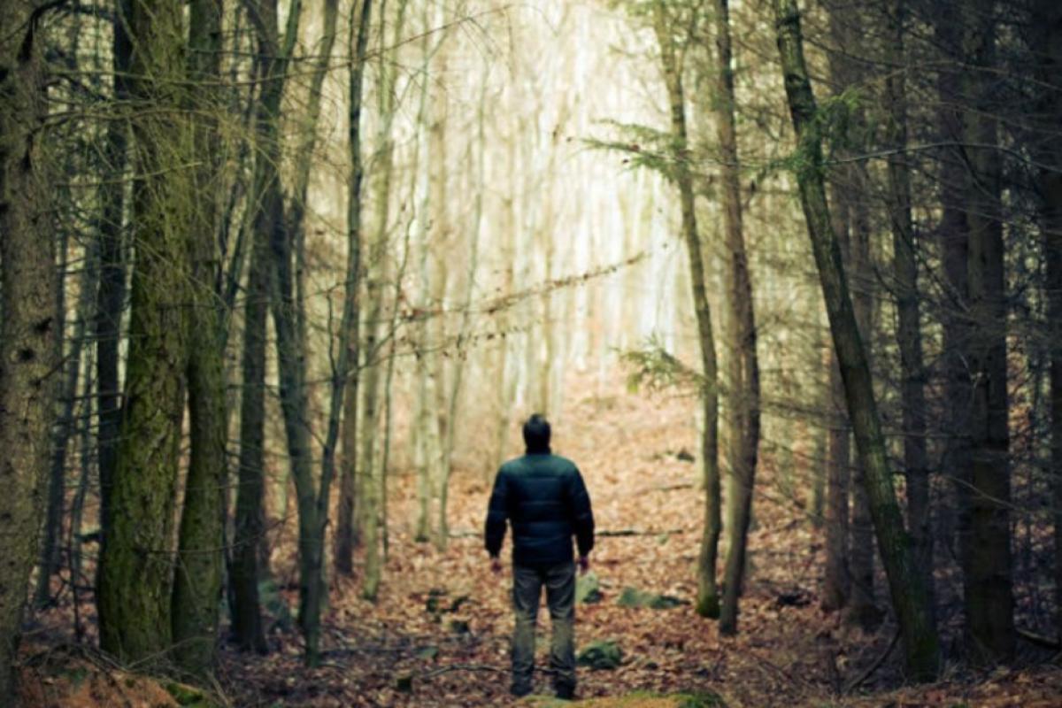 У Туреччині чоловік кілька годин з рятувальниками шукав у лісі самого себе У Туреччині чоловік кілька годин з рятувальниками шукав у лісі самого себе