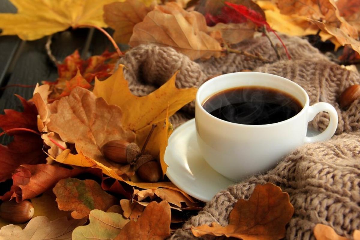 До України увірветься останнє осіннє потепління