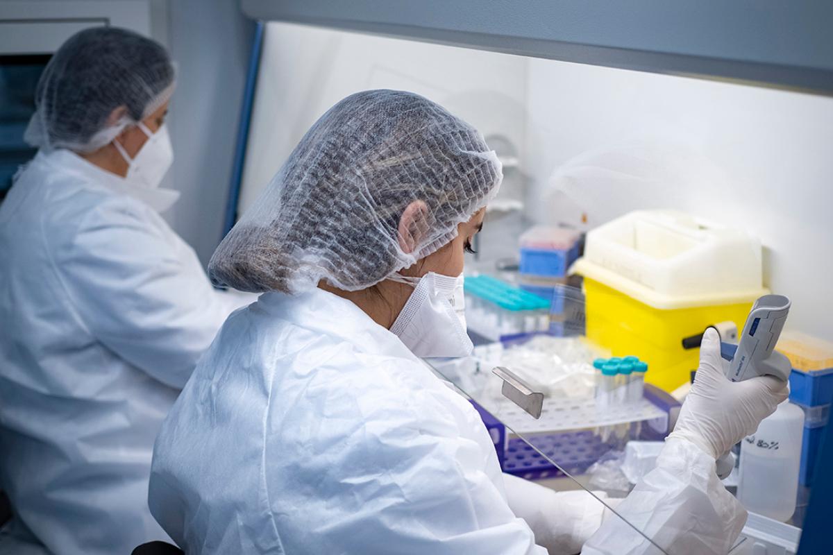 Новий штам COVID-19 дістався з Африки до Європи Новий штам COVID-19 дістався з Африки до Європи