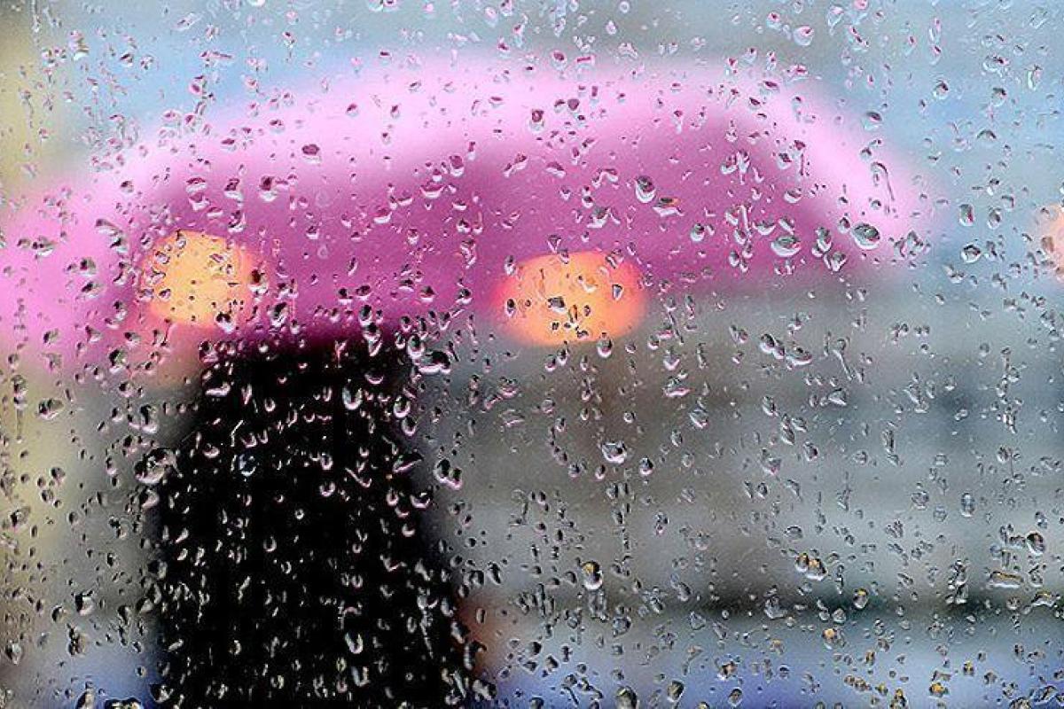 Луганщину заллє дощами: йтимуть до кінця місяця щодня Луганщину заллє дощами: йтимуть до кінця місяця щодня