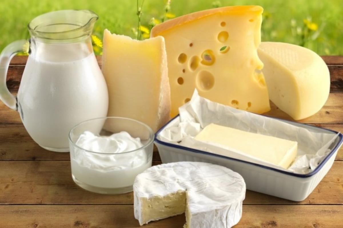 Фальсификат масла и сыра выявили в украинских школах: названы производители Фальсификат масла и сыра выявили в украинских школах: названы производители