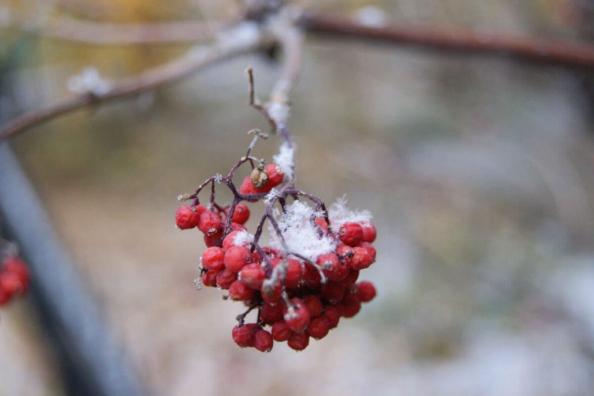 На Луганщині очікується різке похолодання до -9 градусів На Луганщині очікується різке похолодання до -9 градусів