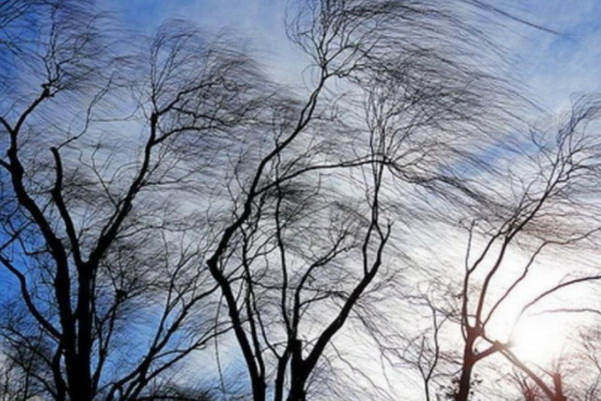 В Україну увірветься штормовий вітер, але ряд регіонів очікують і інші погодні "сюрпризи" В Україну увірветься штормовий вітер, але ряд регіонів очікують і інші погодні "сюрпризи"