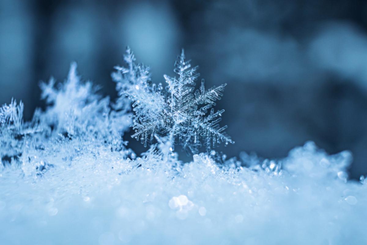 Із завтрашнього дня Луганщину почне засипати снігом: свіжий прогноз Із завтрашнього дня Луганщину почне засипати снігом: свіжий прогноз