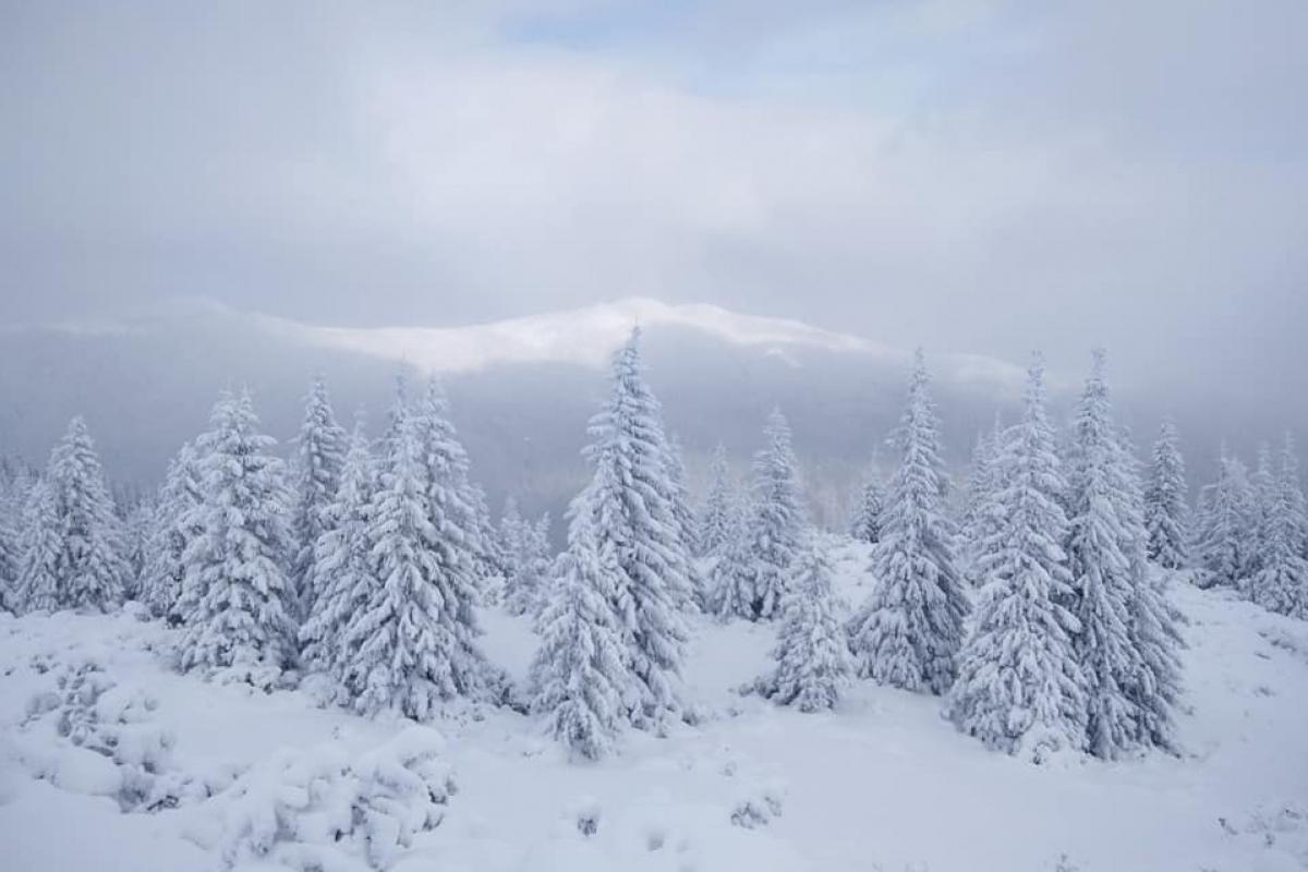 Карпати засипає снігом: туристів попередили про можливі сходи лавин