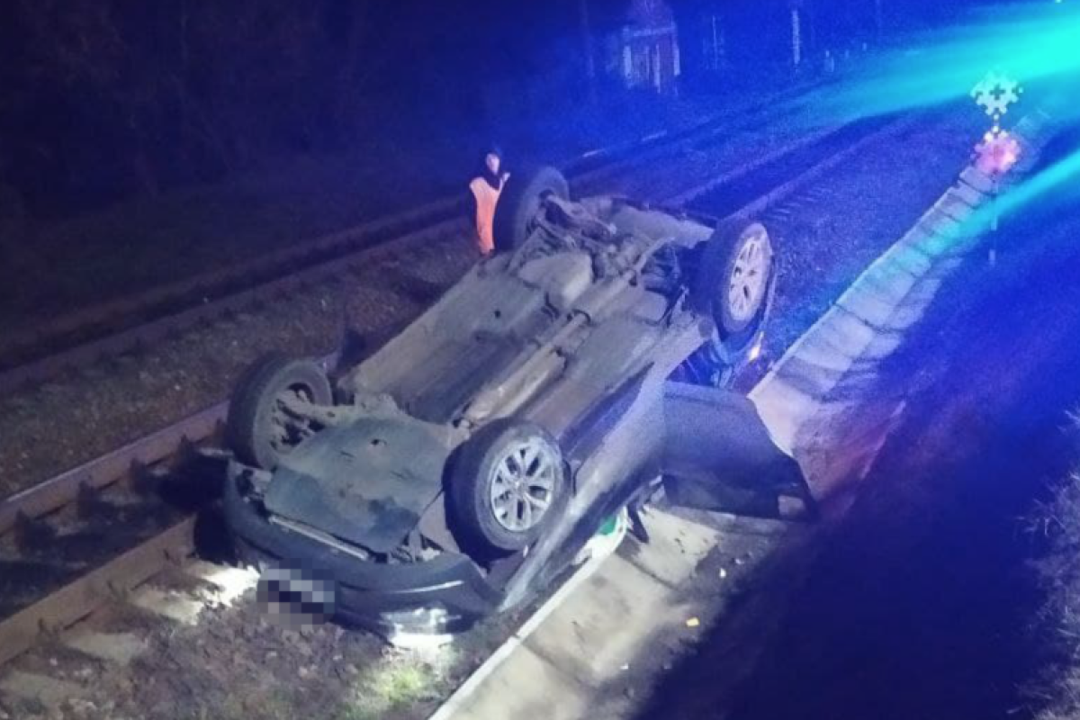 У Лисичанську сталася ДТП, "винуватиця" якої - кішка (фото) У Лисичанську сталася ДТП, "винуватиця" якої - кішка (фото)