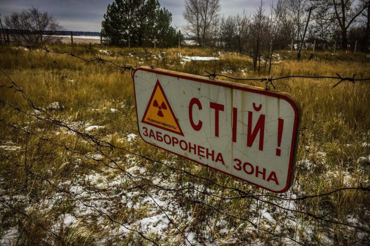 В Чернобыльской зоне засняли "шалости" редкого хищника (видео) В Чернобыльской зоне засняли "шалости" редкого хищника (видео)