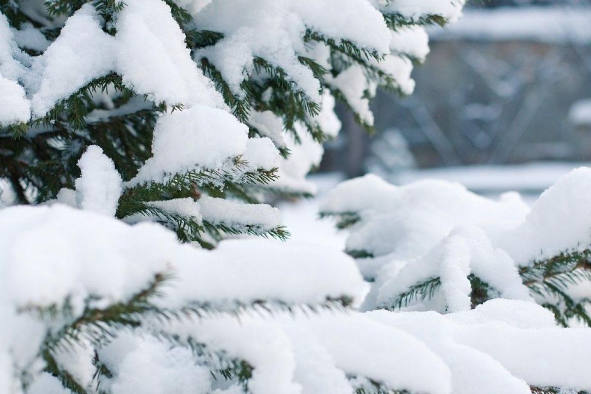 Україну вже завтра завалить снігом, а після - вдарять люті морози Україну вже завтра завалить снігом, а після - вдарять люті морози
