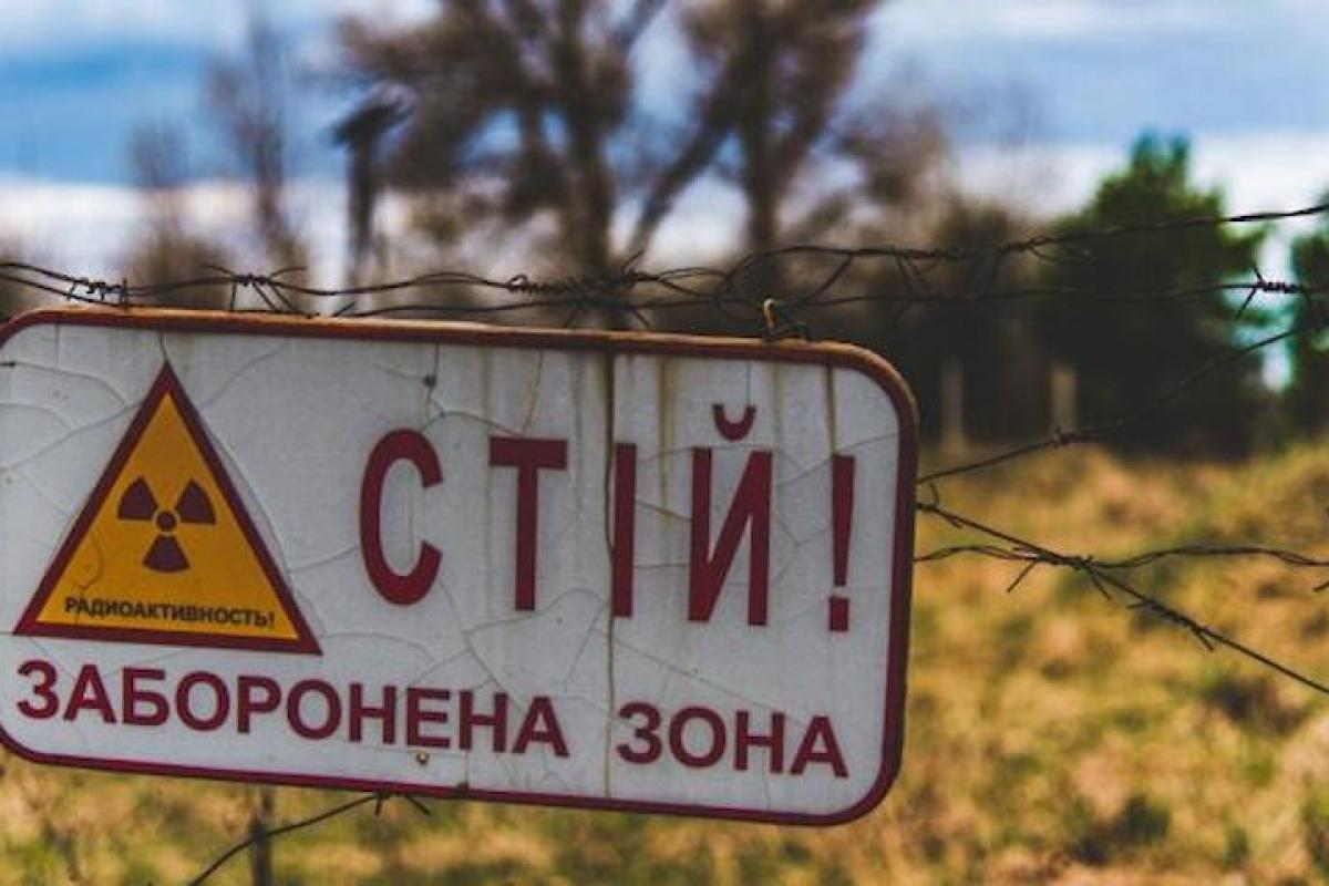 У Чорнобильській зоні камери засікли маленького нічного "гостя" (фото)