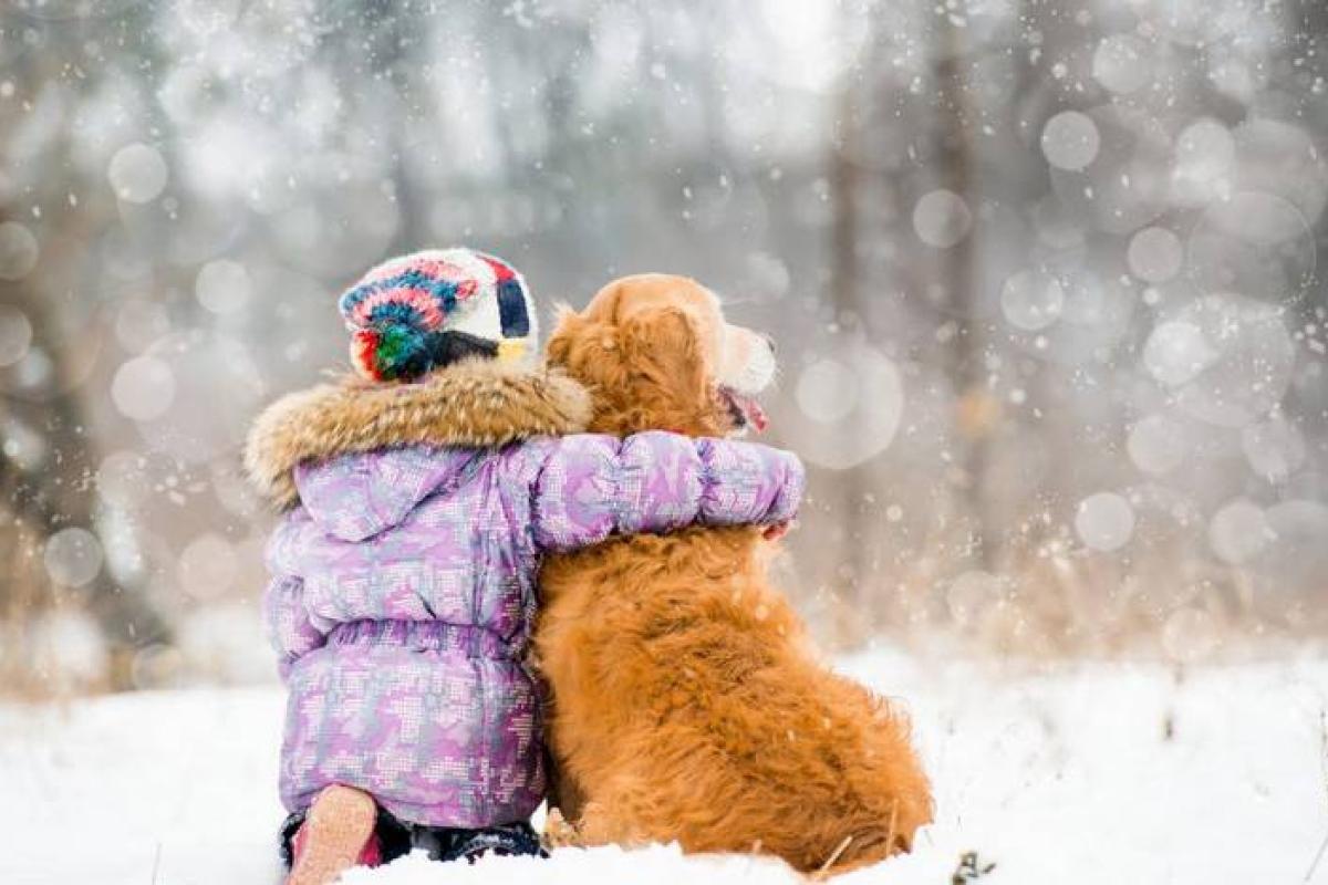 Синоптик рассказала, когда в Украине "ударят" сильные морозы: "Зима хочет быть собой" Синоптик рассказала, когда в Украине "ударят" сильные морозы: "Зима хочет быть собой"