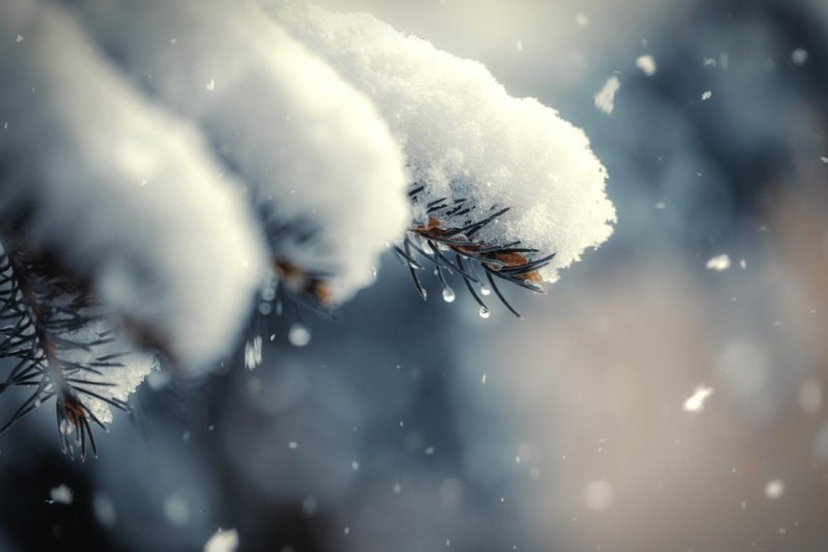 На Луганщину идет потепление до +2 градусов с мокрым снегом На Луганщину идет потепление до +2 градусов с мокрым снегом