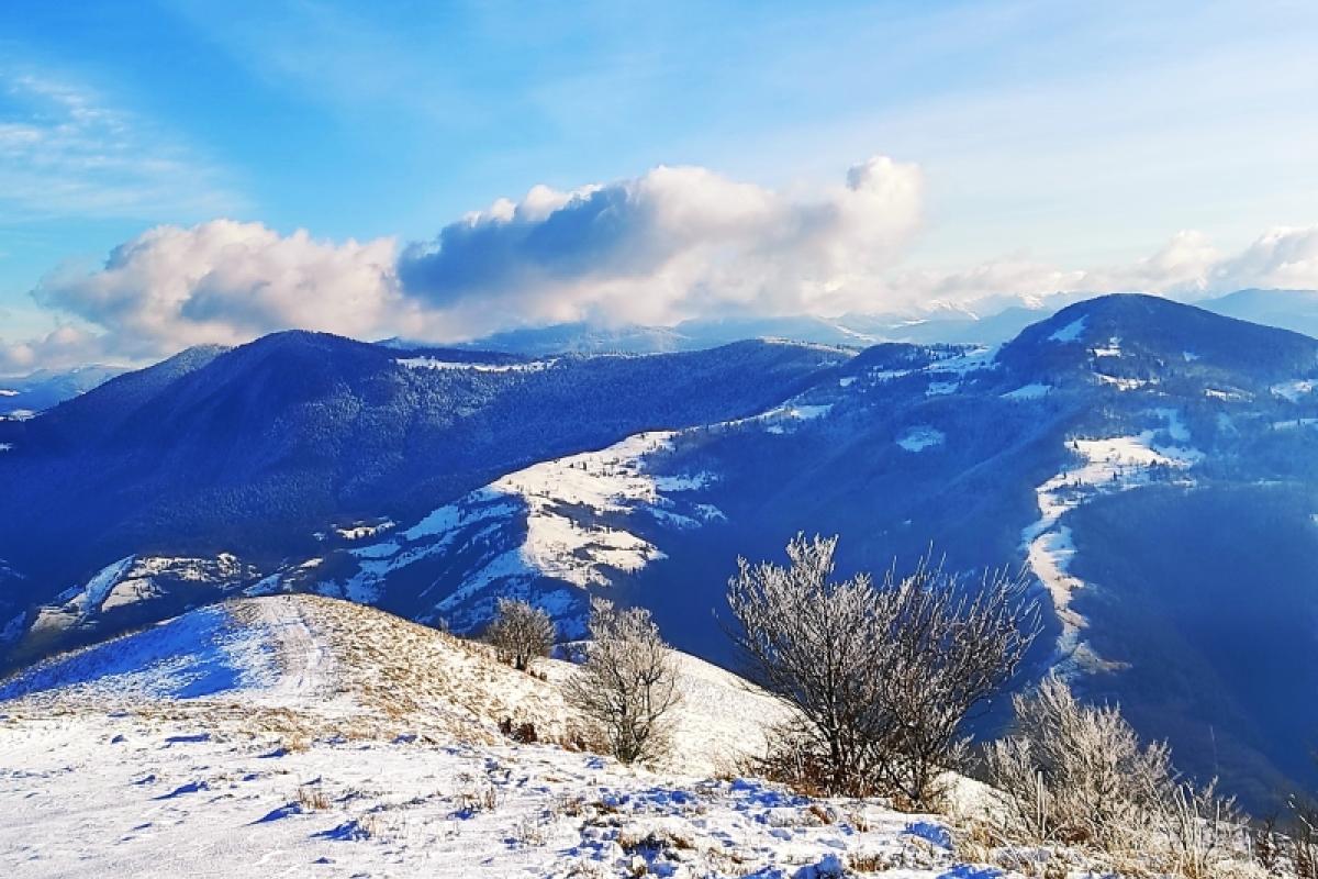 Карпати засипає снігом: є ризик сходження лавин
