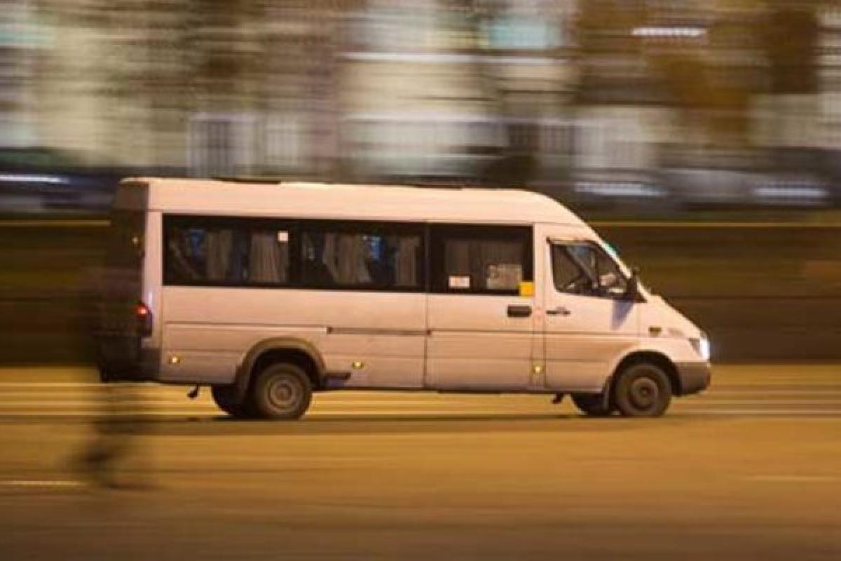 "Підсідушники!": В одній з українських маршруток виявили незвичайний "урожай" (фото) "Підсідушники!": В одній з українських маршруток виявили незвичайний "урожай" (фото)