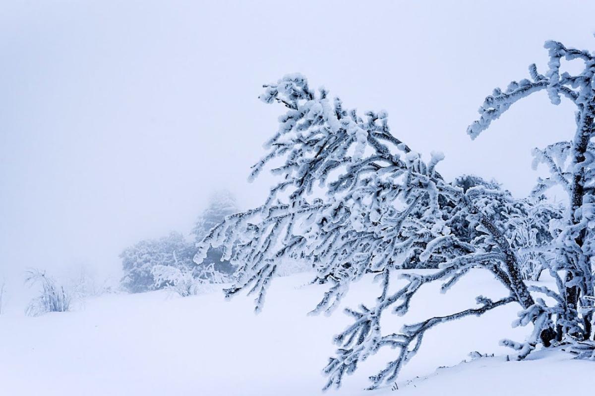 Украину накроют атмосферные фронты: синоптик предупредила об ураганном ветре и осадках Украину накроют атмосферные фронты: синоптик предупредила об ураганном ветре и осадках