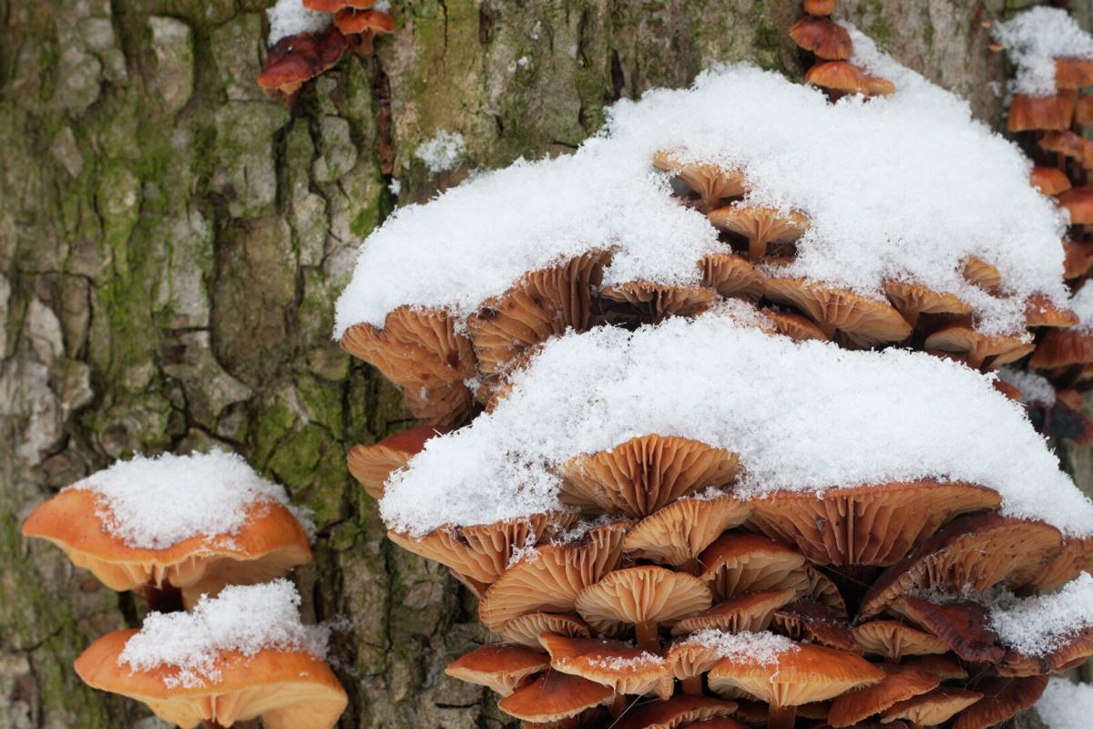 Україну накриє атмосферний фронт: яких регіонів торкнуться опади та штормовий вітер