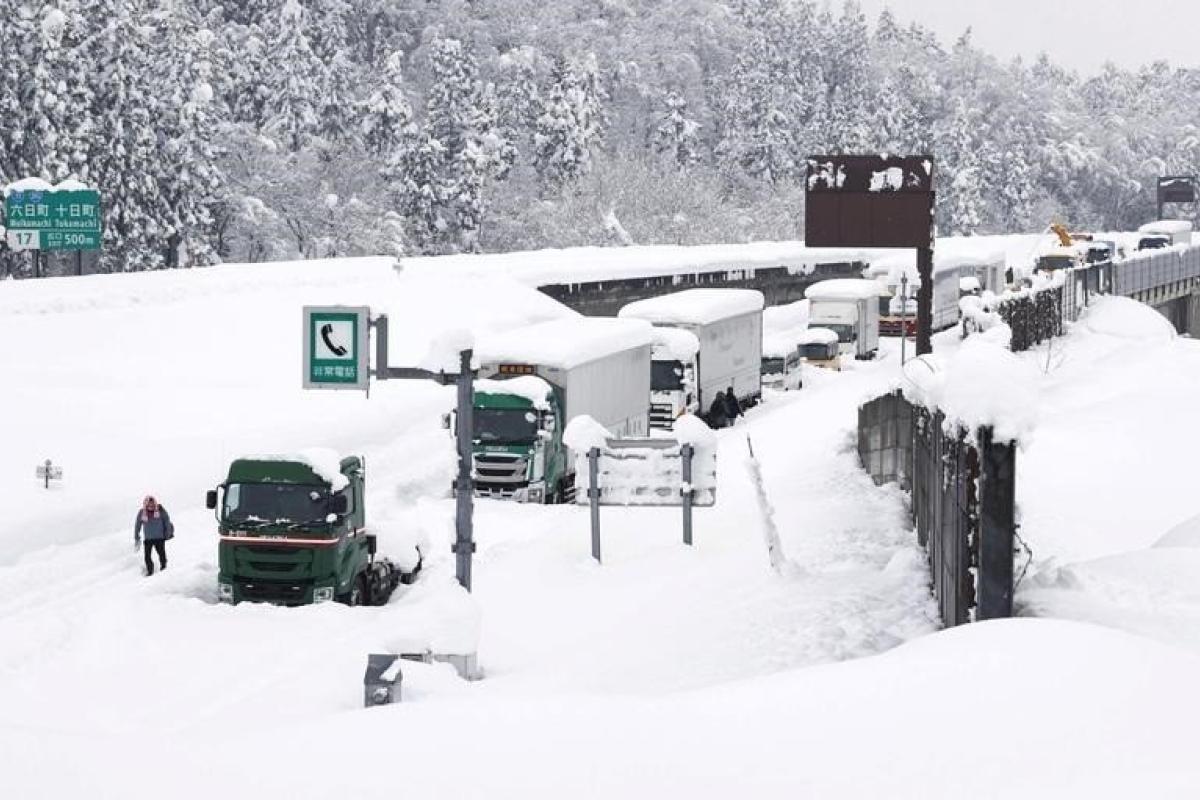 Впервые за четыре года на столицу Японии обрушился снегопад, более 50 человек пострадали Впервые за четыре года на столицу Японии обрушился снегопад, более 50 человек пострадали