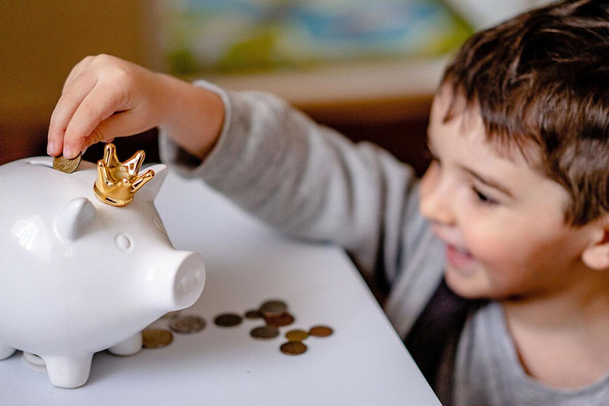 Парламентський комітет підтримав запровадження економічного паспорта українця