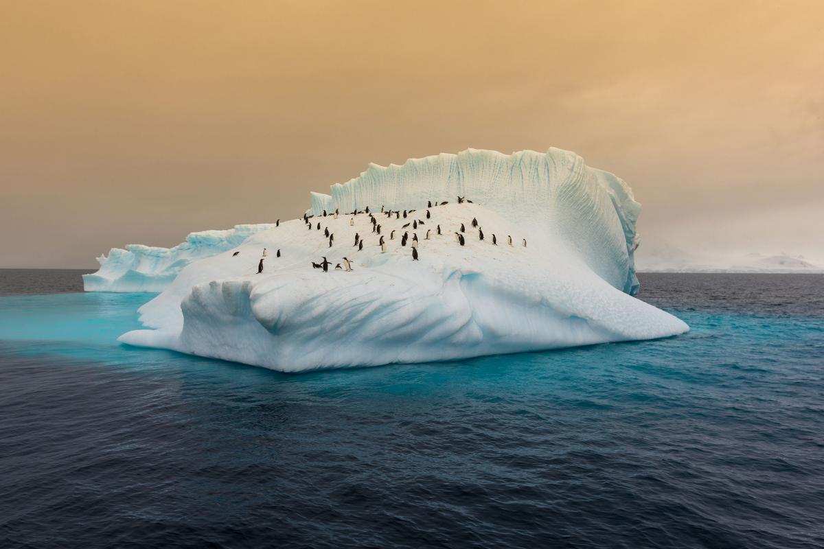 На исследовательской станции в Антарктиде произошла вспышка COVID-19
