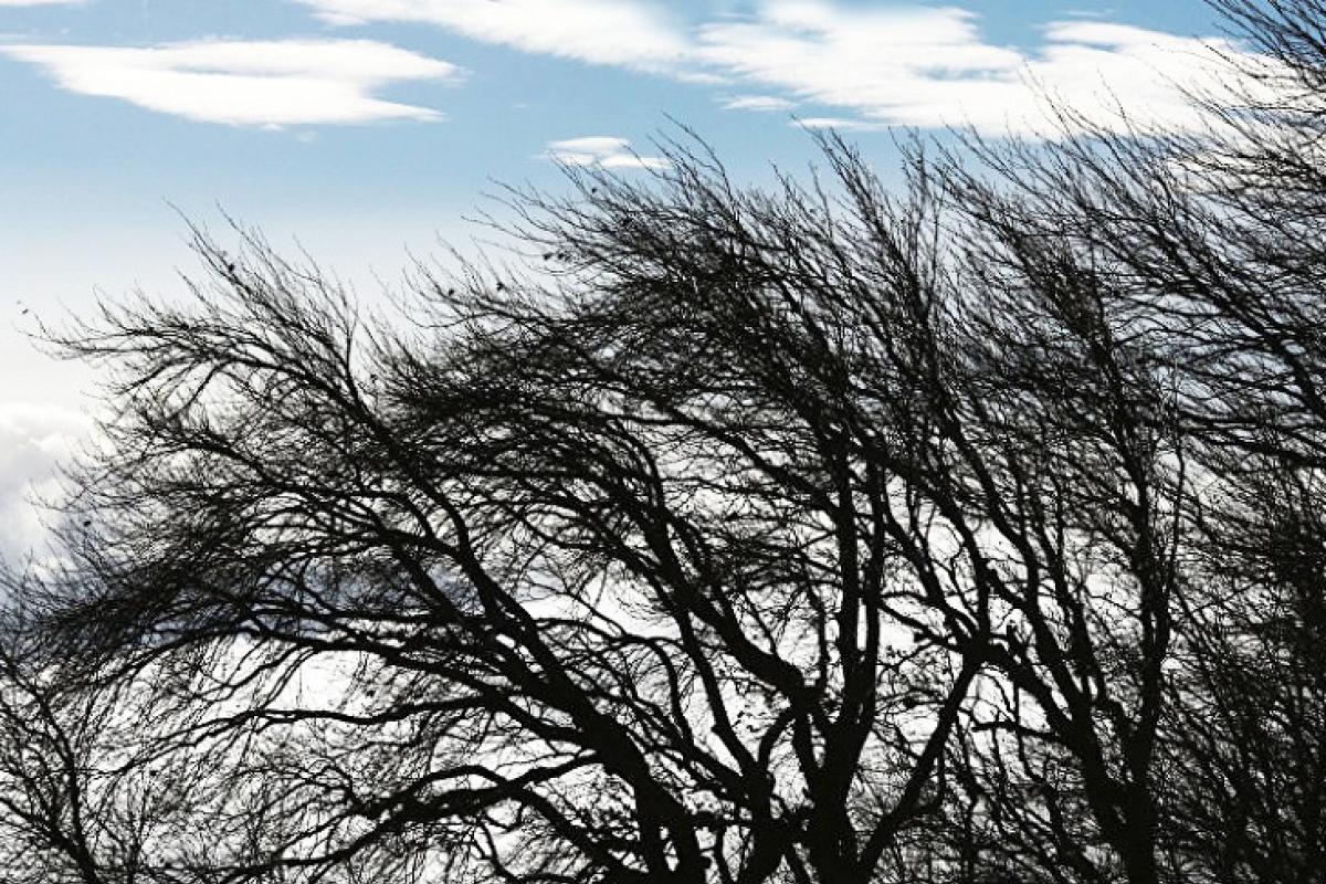 Ураганний вітер накриє Луганщину: оголошено I рівень небезпеки