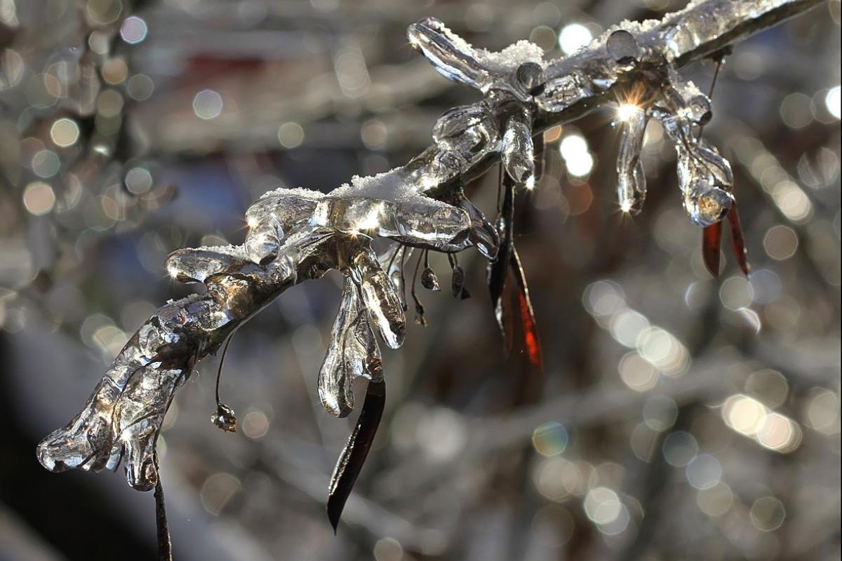 Синоптик рассказала, какой будет погода в Украине на выходных