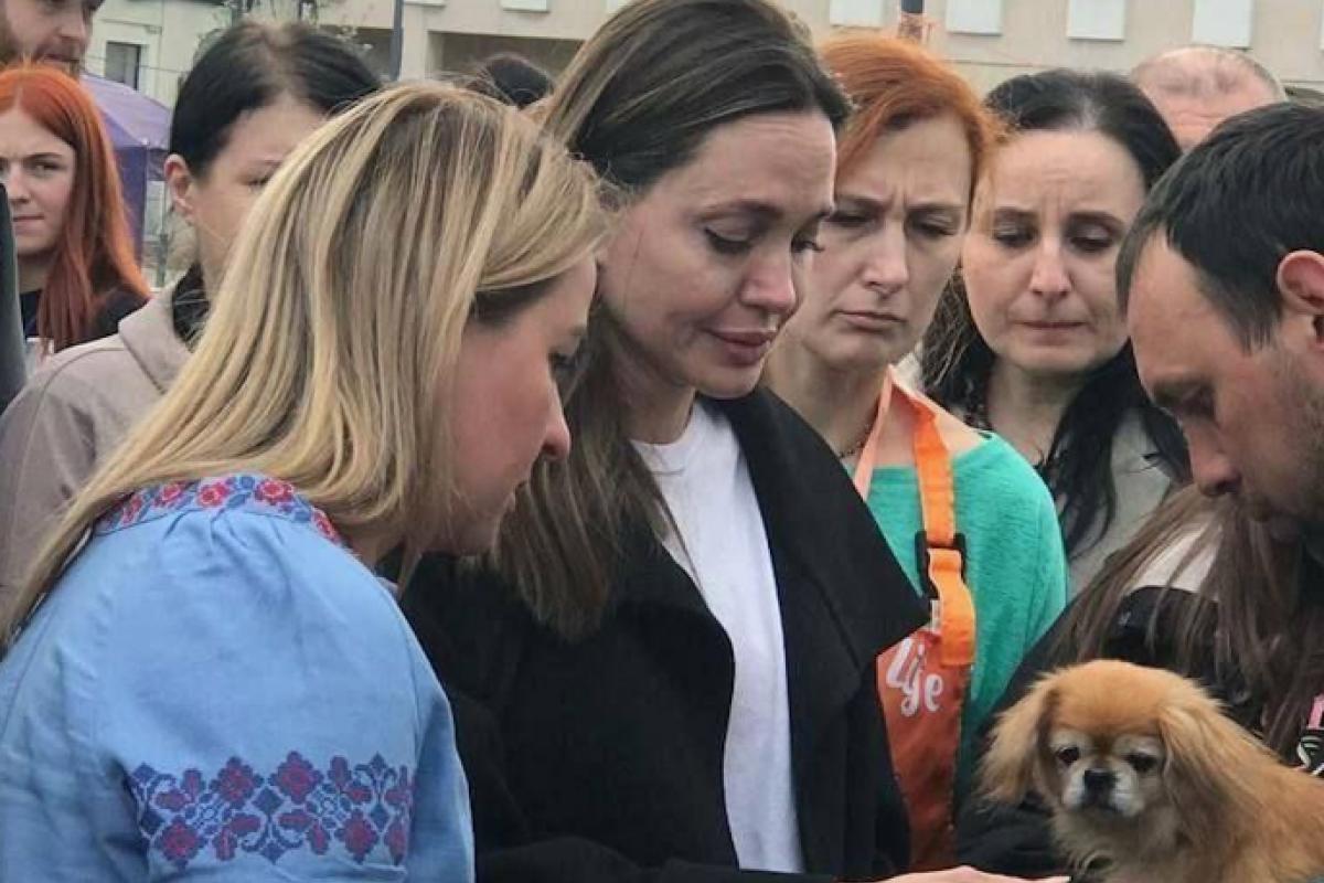 Анджелина Джоли приехала во Львов - фото, видео Анджелина Джоли приехала во Львов - фото, видео