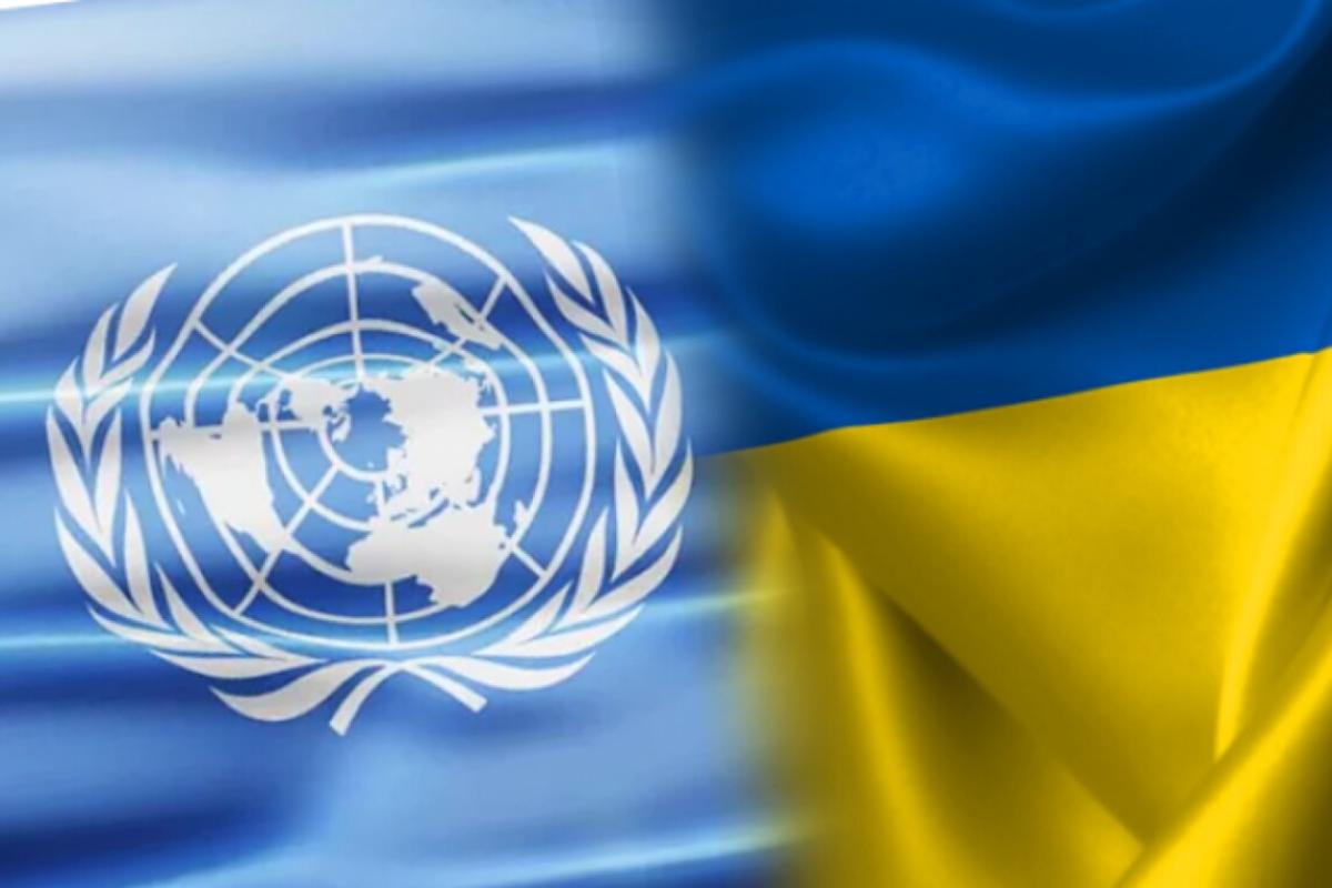ООН выделила 50 млн долларов на помощь украинцам, пострадавшим от войны ООН выделила 50 млн долларов на помощь украинцам, пострадавшим от войны