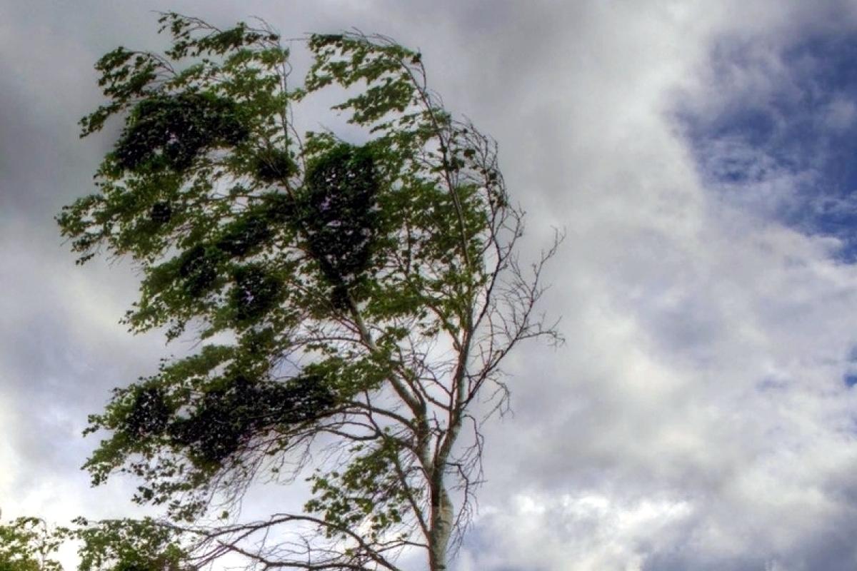 Гроза и штормовой ветер: в ряде регионов Украины сильно испортится погода Гроза и штормовой ветер: в ряде регионов Украины сильно испортится погода