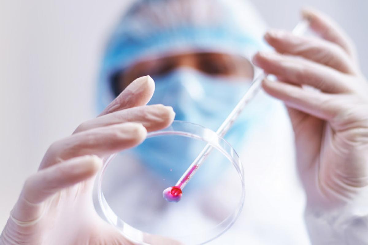 В Польше подтвердили первый случай оспы обезьян В Польше подтвердили первый случай оспы обезьян