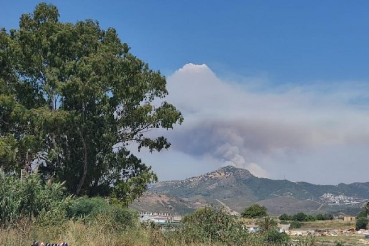 В Испании вспыхнул масштабный лесной пожар: около 2000 человек пришлось эвакуировать В Испании вспыхнул масштабный лесной пожар: около 2000 человек пришлось эвакуировать
