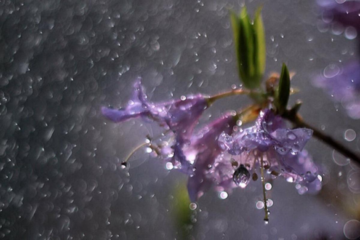 Грозы, ливни и даже смерчи: в Украине резко изменится погода Грозы, ливни и даже смерчи: в Украине резко изменится погода