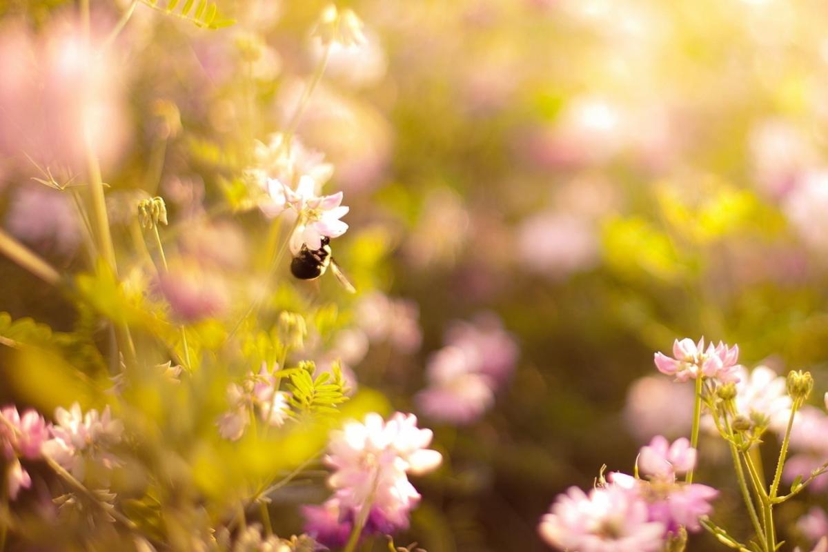 Синоптик розповіла, коли в Україні спаде спека