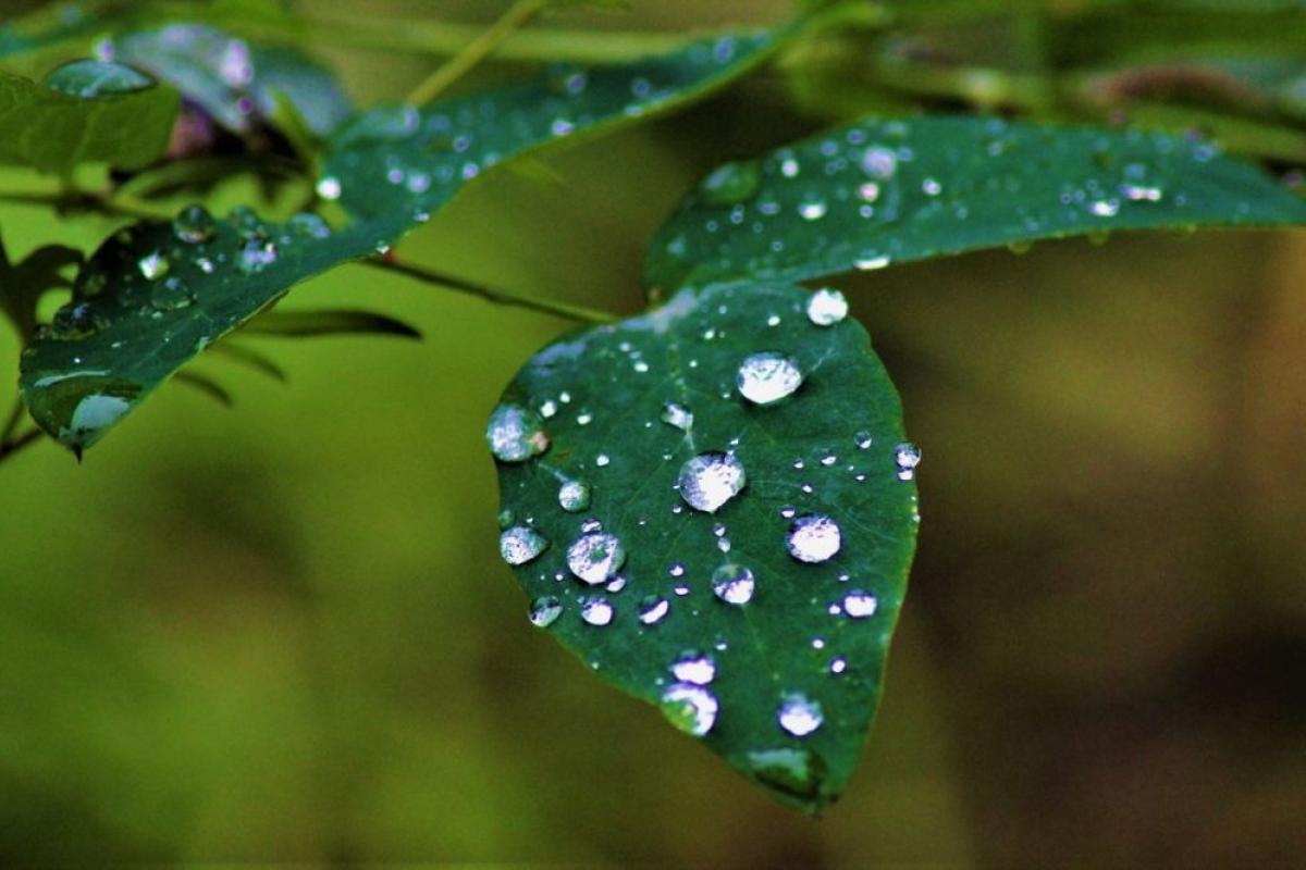 Через Украину проходит атмосферный фронт: в ряде регионов ожидаются дожди с грозами Через Украину проходит атмосферный фронт: в ряде регионов ожидаются дожди с грозами